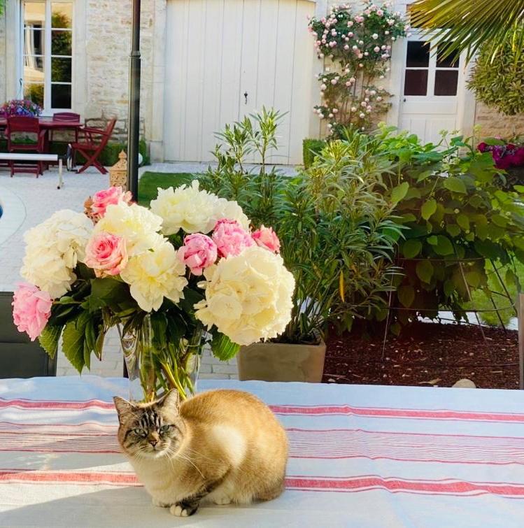 LE JARDIN Chambre de charme, piscine à Meursault Extérieur photo